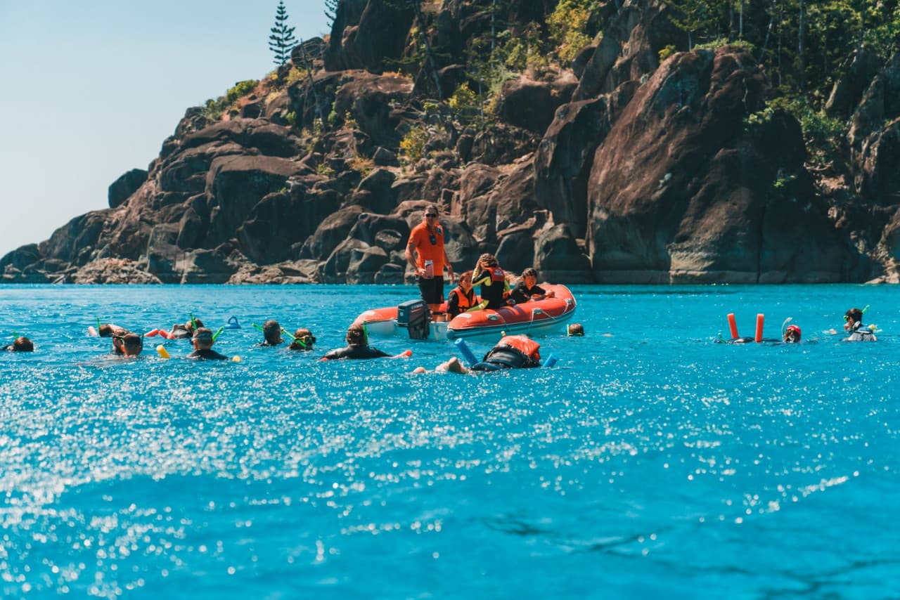 Tongarra Day Sailing Tour - image 5