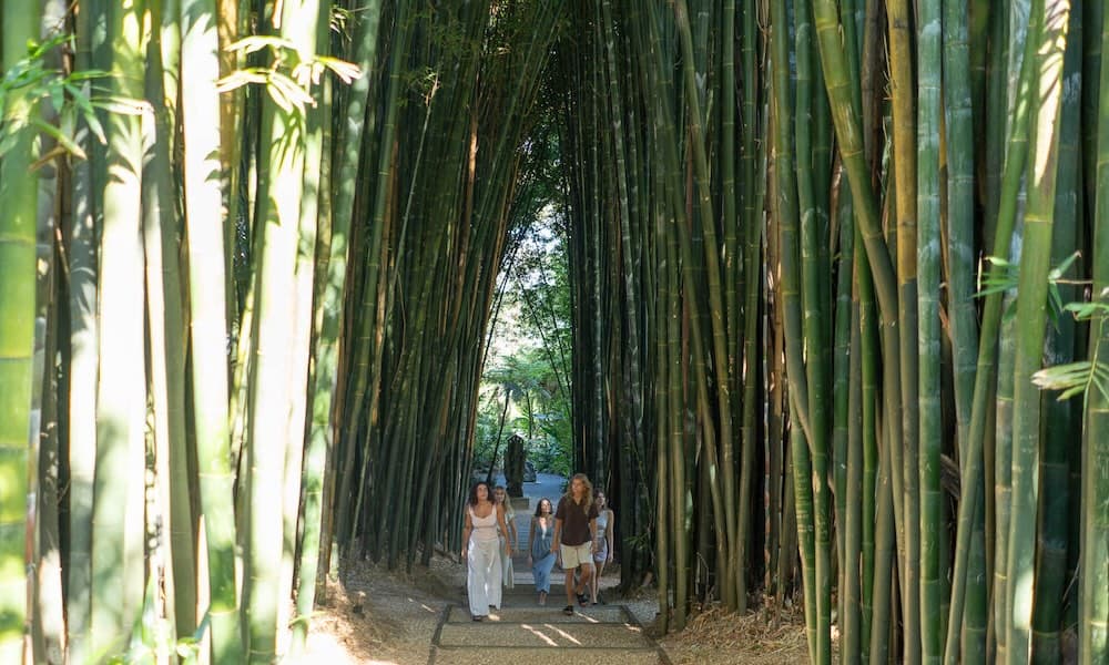 Crystal Castle and Shambhala Gardens in Byron Bay Ticket - image 3